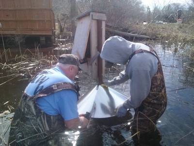 Mark and Austin install a predator cone on a wood duck box